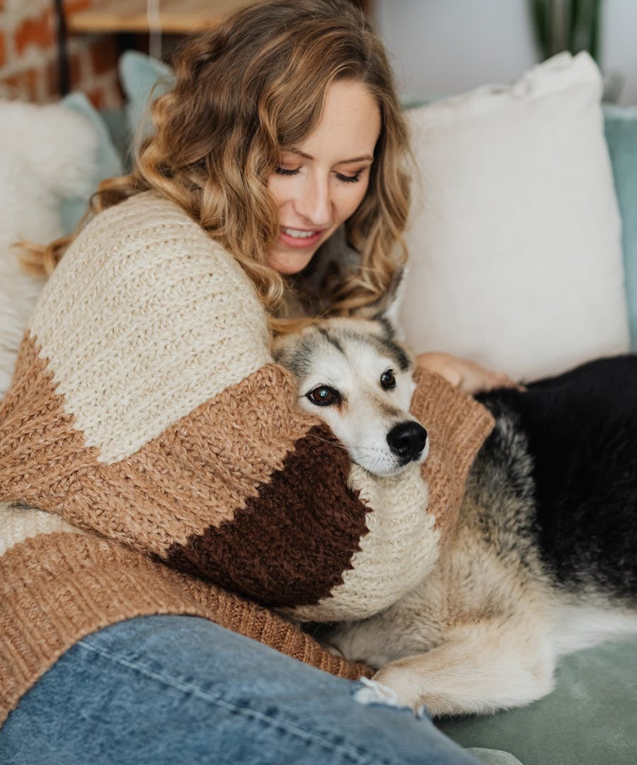 Hundebesitzerin kuschelt liebevoll mit ihrem Hund auf dem Sofa