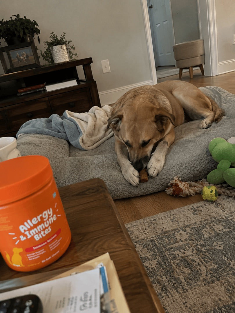 Felix & Nala