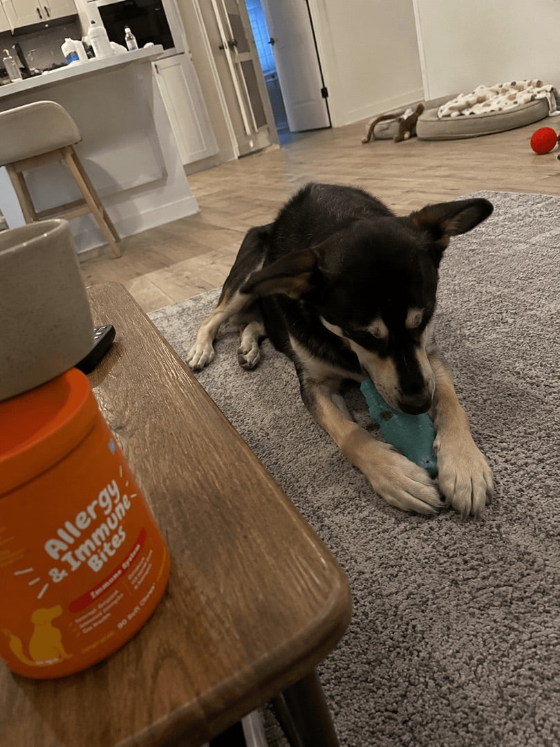 Lena & Pepper
